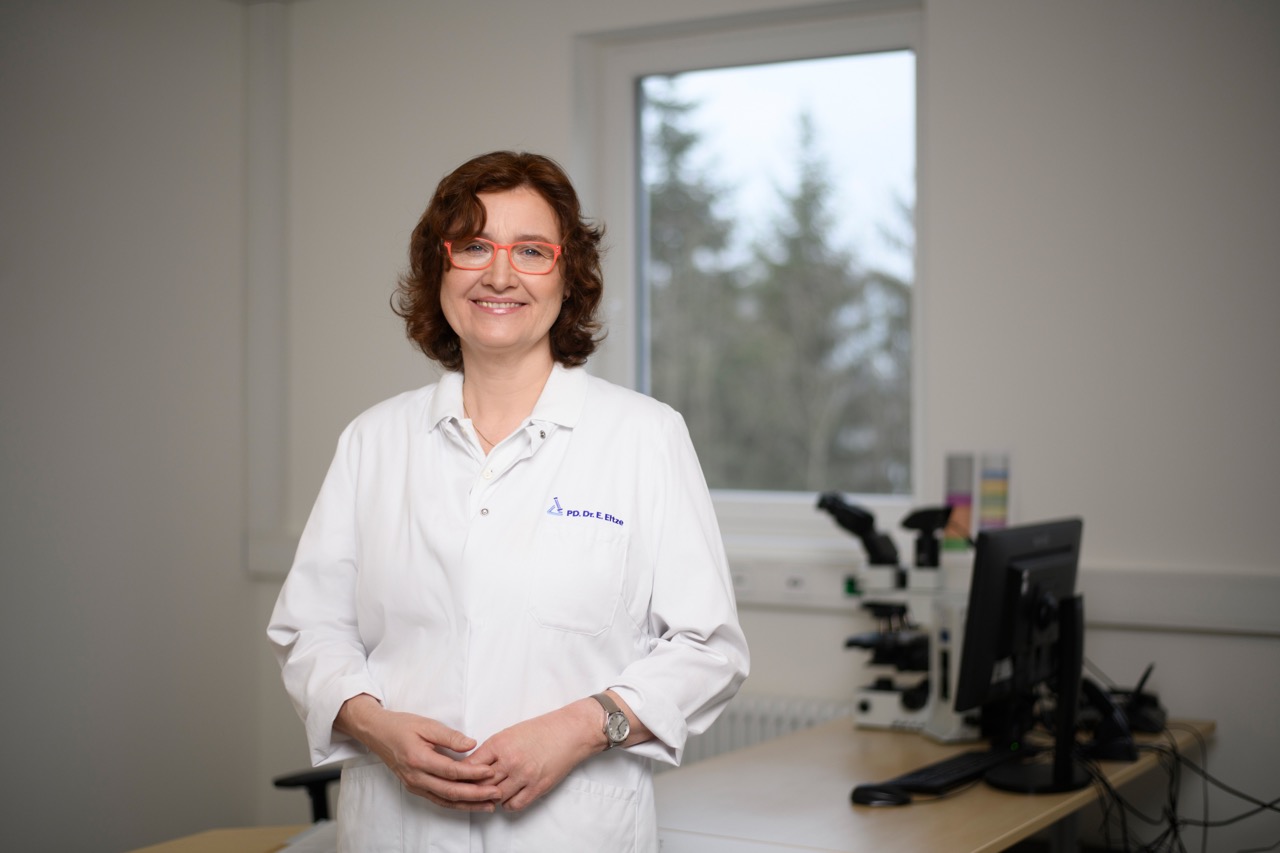 Pathologisches Institut